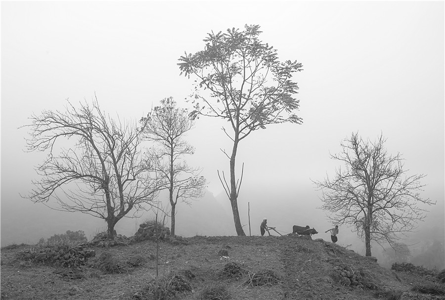 Sương sớm trên nương   -  Trần Hữu Giang (Cao Bằng)