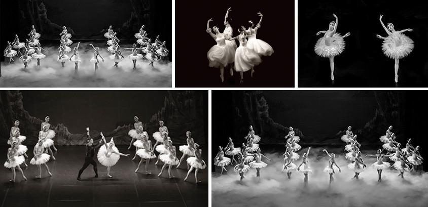 Bộ ảnh: Múa ballet  -  Đường Hồng Mai 