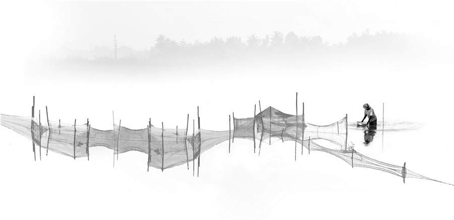 Sương sớm miền quê  -  Đặng Quang Vinh (Bạc Liêu)