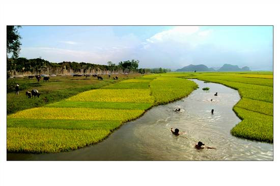  - Mùa vàng bên thành nhà Hồ - Nguyễn Thống