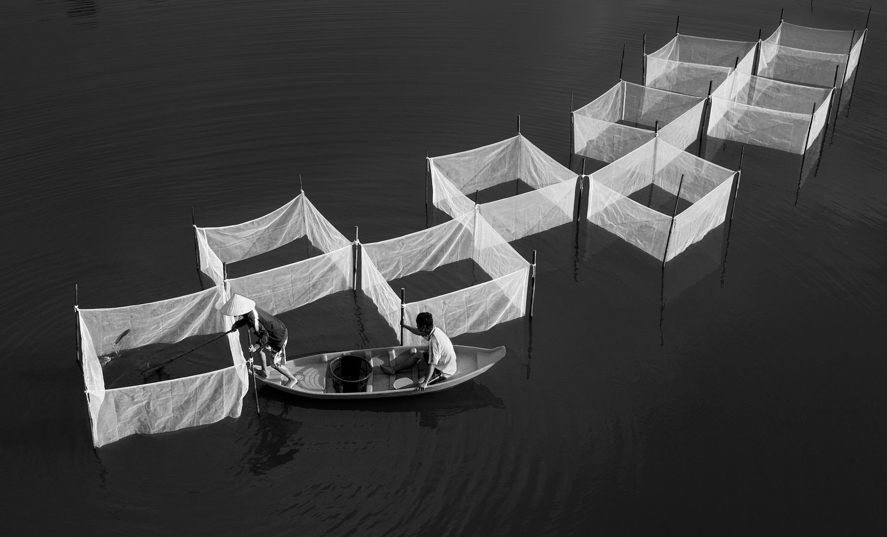 Cuộc sống trên nguồn nước ngọt - Tác giả: Lâm Thanh Liêm