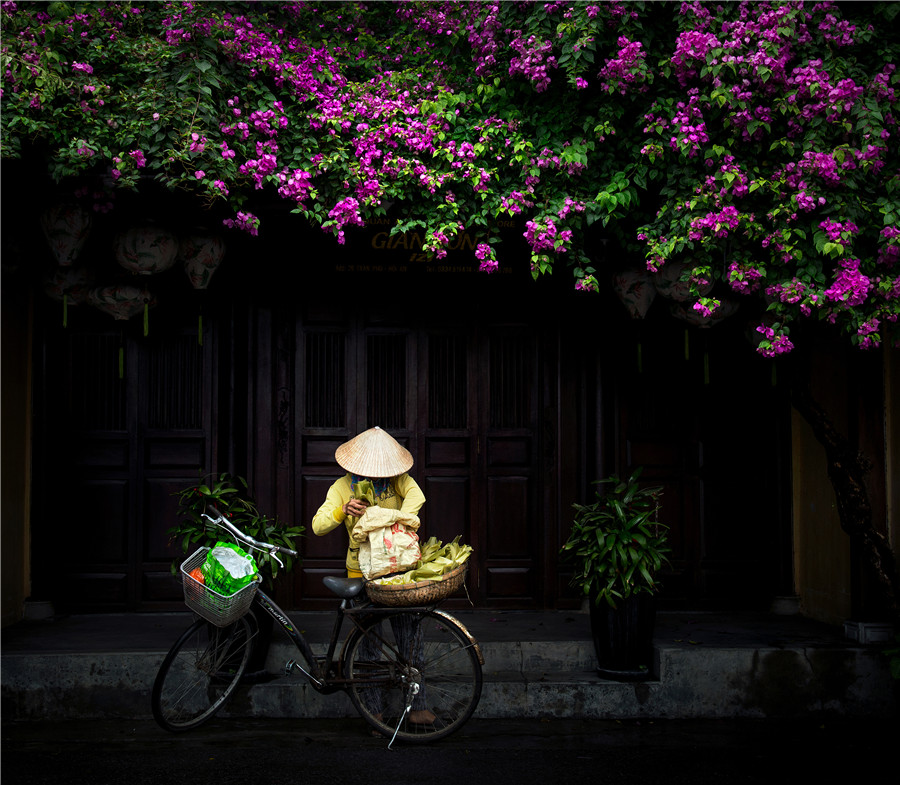 Dưới giàn hoa giấy - Đặng Kế Cường (Quảng Nam)