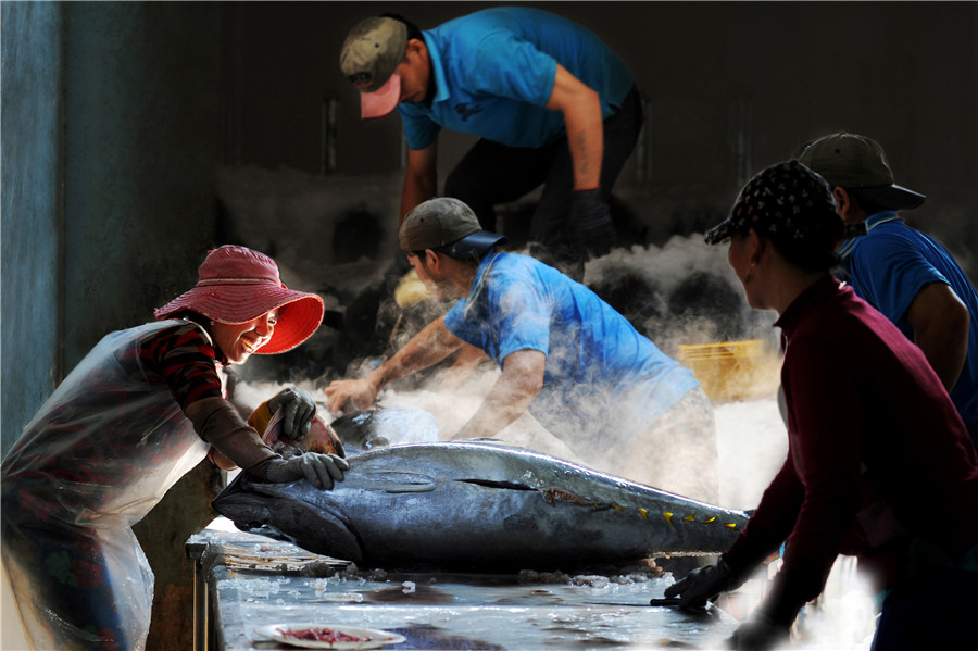 Cá ngừ đại dương - Nguyễn Ngọc Tuấn (Bình Định)
