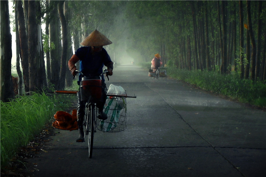 Chạy mưa - Vũ Thị Nhã (Bắc Ninh)