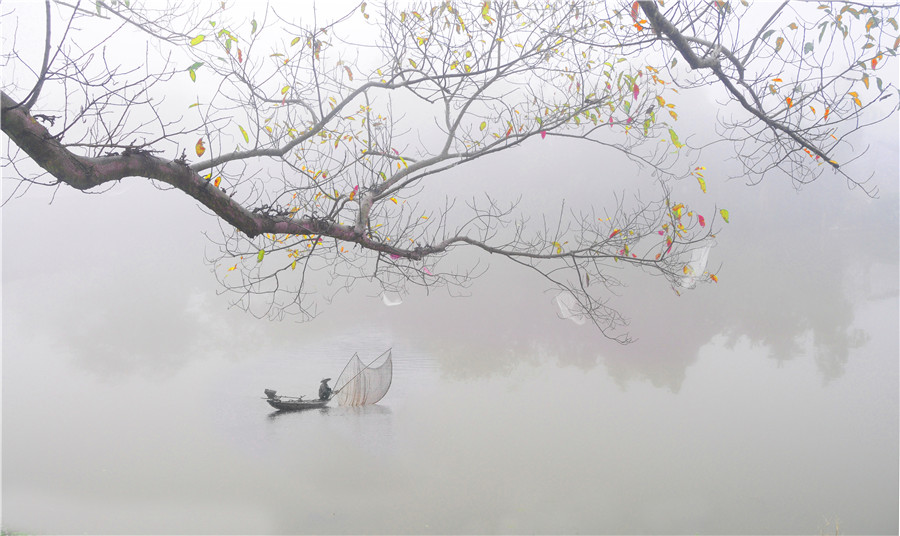 Trong sương mai - Nguyễn Văn Dũng - Thừa Thiên Huế