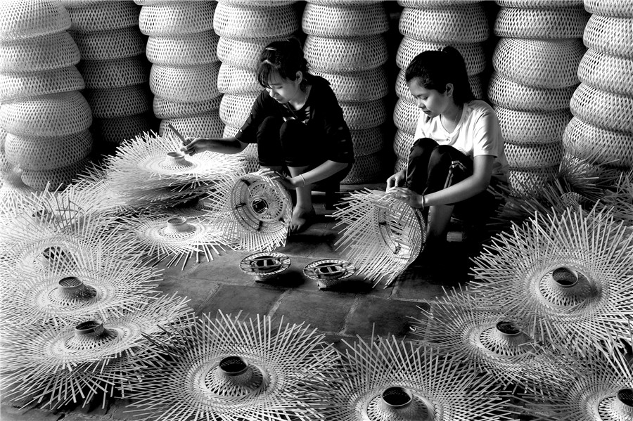 Tre đan xuất khẩu - - Trương Bá Vinh - Thanh Hóa
