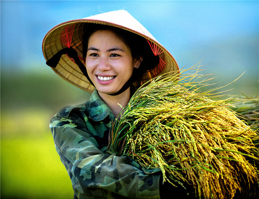 Hạt gạo miền Trung - - Lê Quang Dũng - Nghệ An