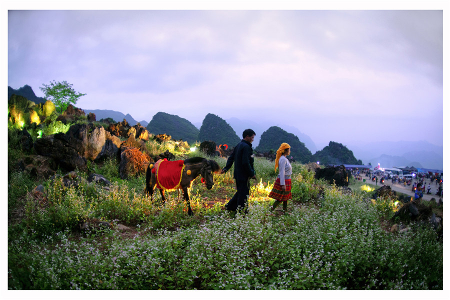 Bình minh nơi chợ tình - - Nguyễn Văn Dương 