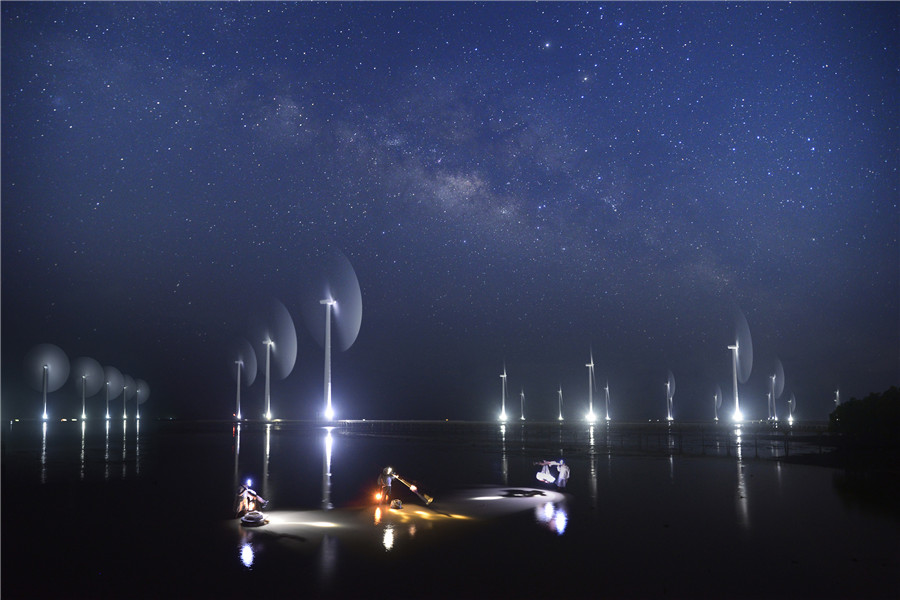 Milkyway trên cánh đồng điện gió Bạc Liêu - - Đặng Quang Vinh