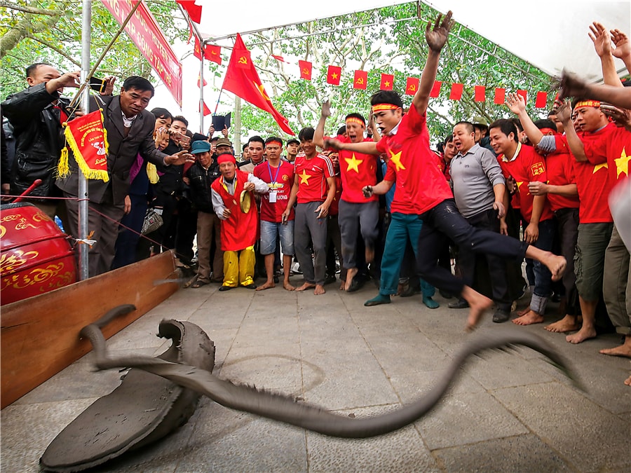 Bay lên Việt Nam - - Vũ Hoàng Hiệp{vũ Văn Hiệp}