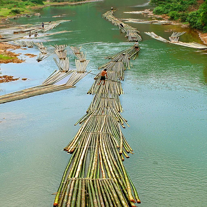 Xuôi dòng sông Mã - Tác giả: Nguyễn Văn Thống