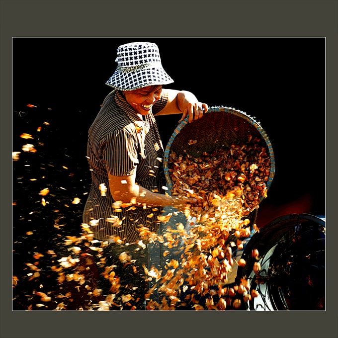 Lọc hành - Tác giả: Hải Dương (Hải Dương)