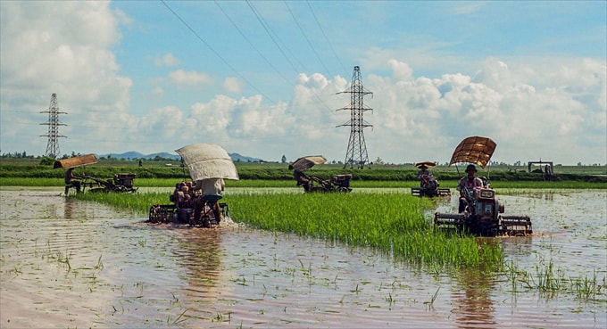 Nông thôn mới - Tác giả: Bùi Tiến Thành (Hải Dương)