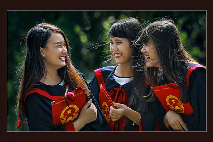Hoa trạng nguyên - Tác giả: Phạm Văn Tùng