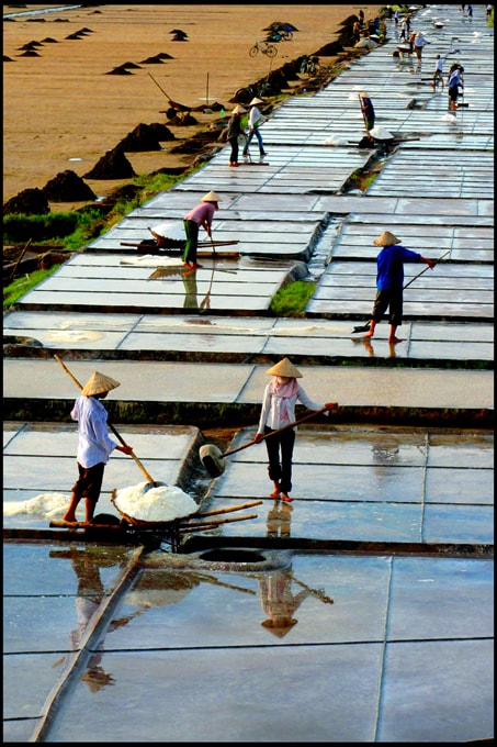 Được mùa muối - Tác giả: Ngô Minh Nhật