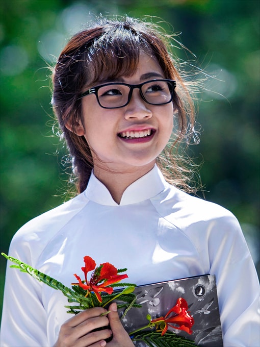 Hoa học trò - Phạm Văn Tùng