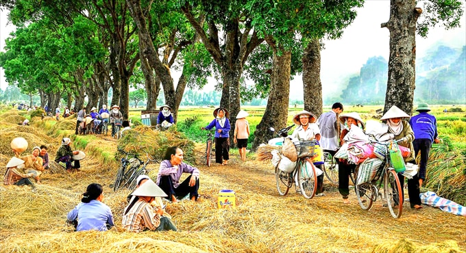 Ngày mùa - Trần Vũ Dũng