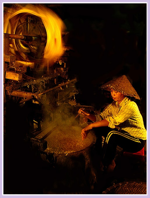 Nhả tơ - Vũ Ngọc Vinh