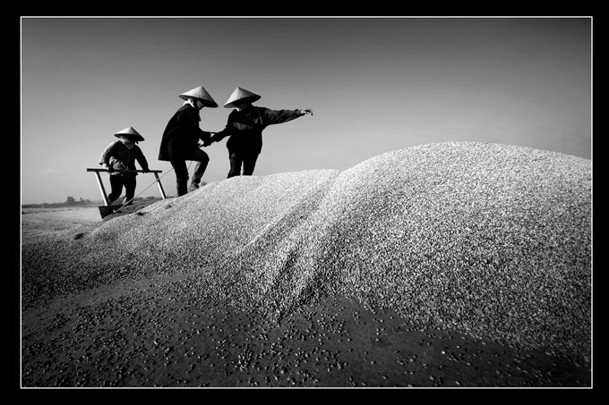 Được mùa - Trần Hùng
