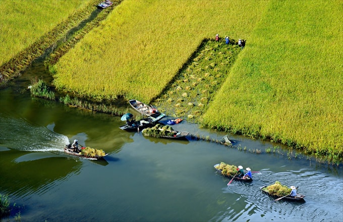 Ngày mùa ở Tam Cốc Suối Tiên - Ninh Đức Hậu
