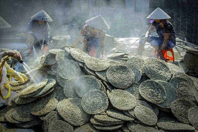 Làm sạch mốc - Trần Văn Lũy (HCĐ)