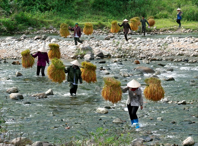 Qua suối - Bùi Thị Bích Phượng