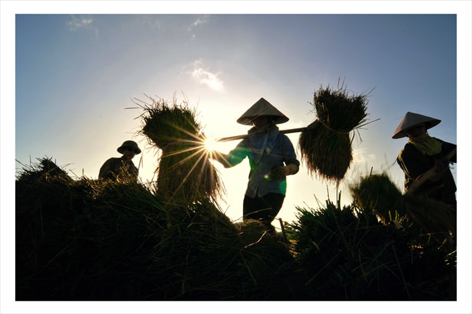 Vũ điệu ngày mới - Nguyễn Phục Anh