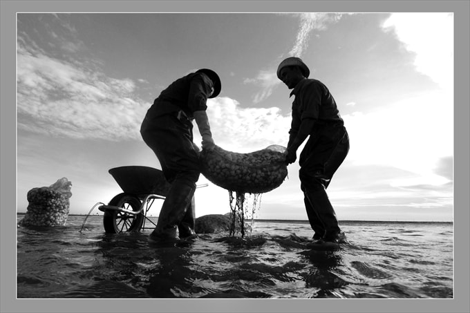 Khẩn trương - Lê Hữu Dụng