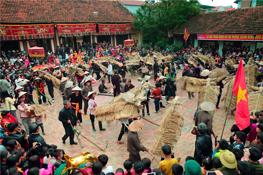 Lễ hội Trâu rơm Bò rạ - Nguyễn Anh Tuấn