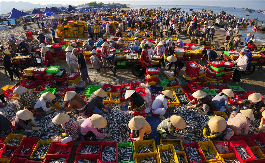 Chợ cá Long Hải - Thái Quốc Phong