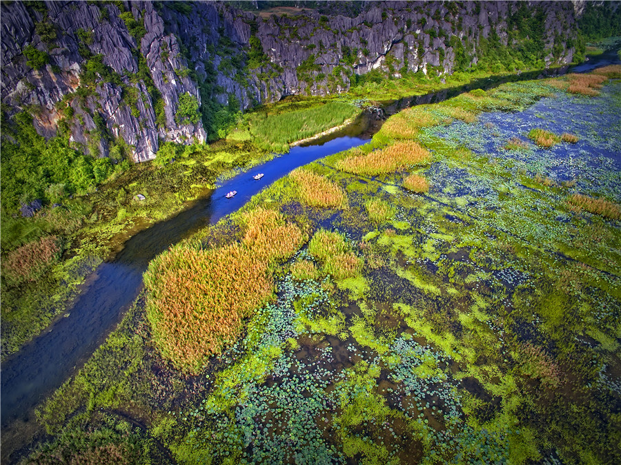 Khu bảo tồn thiên nhiên đất ngập nước Vân Long - Vân Long nature reserve - Nguyễn Minh Tân
