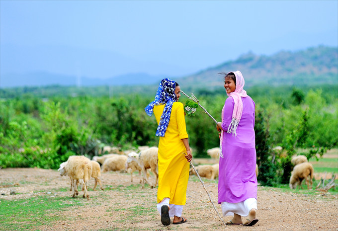 Những cô gái chăn cừu - Tác giả:Phạm Tuấn Kiệt