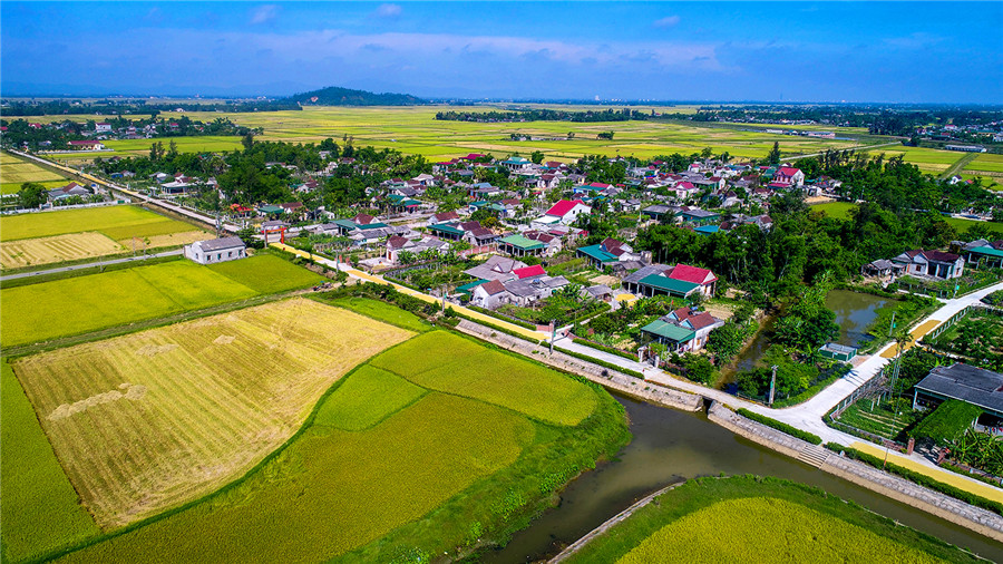 Mùa về trên thôn đạt chuẩn nông thôn mới - Nguyễn Hữu Thành