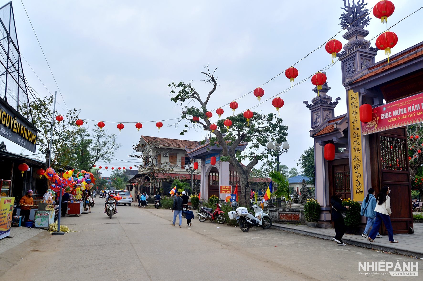W_pha_1685-copy.jpg