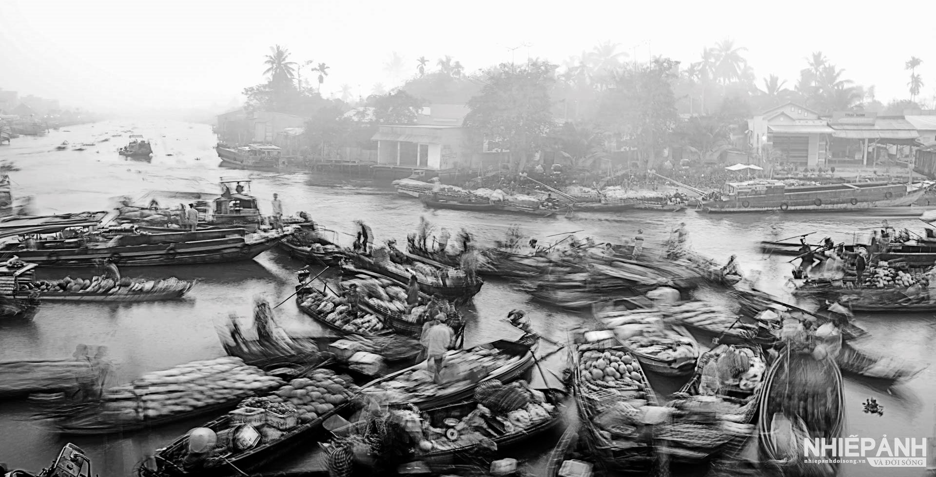 W_10-psa-gold-medal-early-morning-on-floating-market-tran-thu-an-vietnam-.jpg