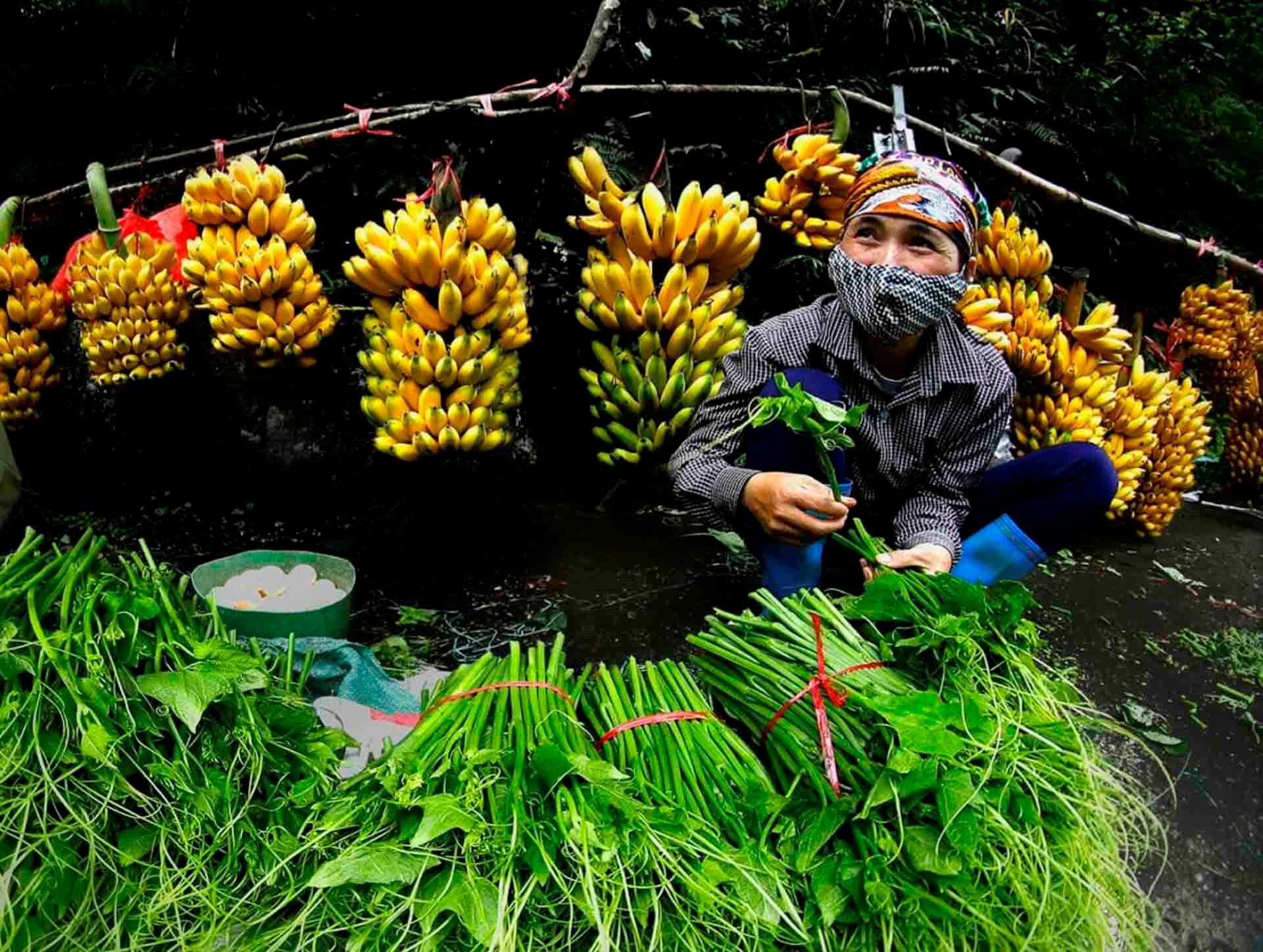 co-gai-ban-rau-bang-dd-iaap-2023-tai-balan-vu-manh-cuongr.jpg