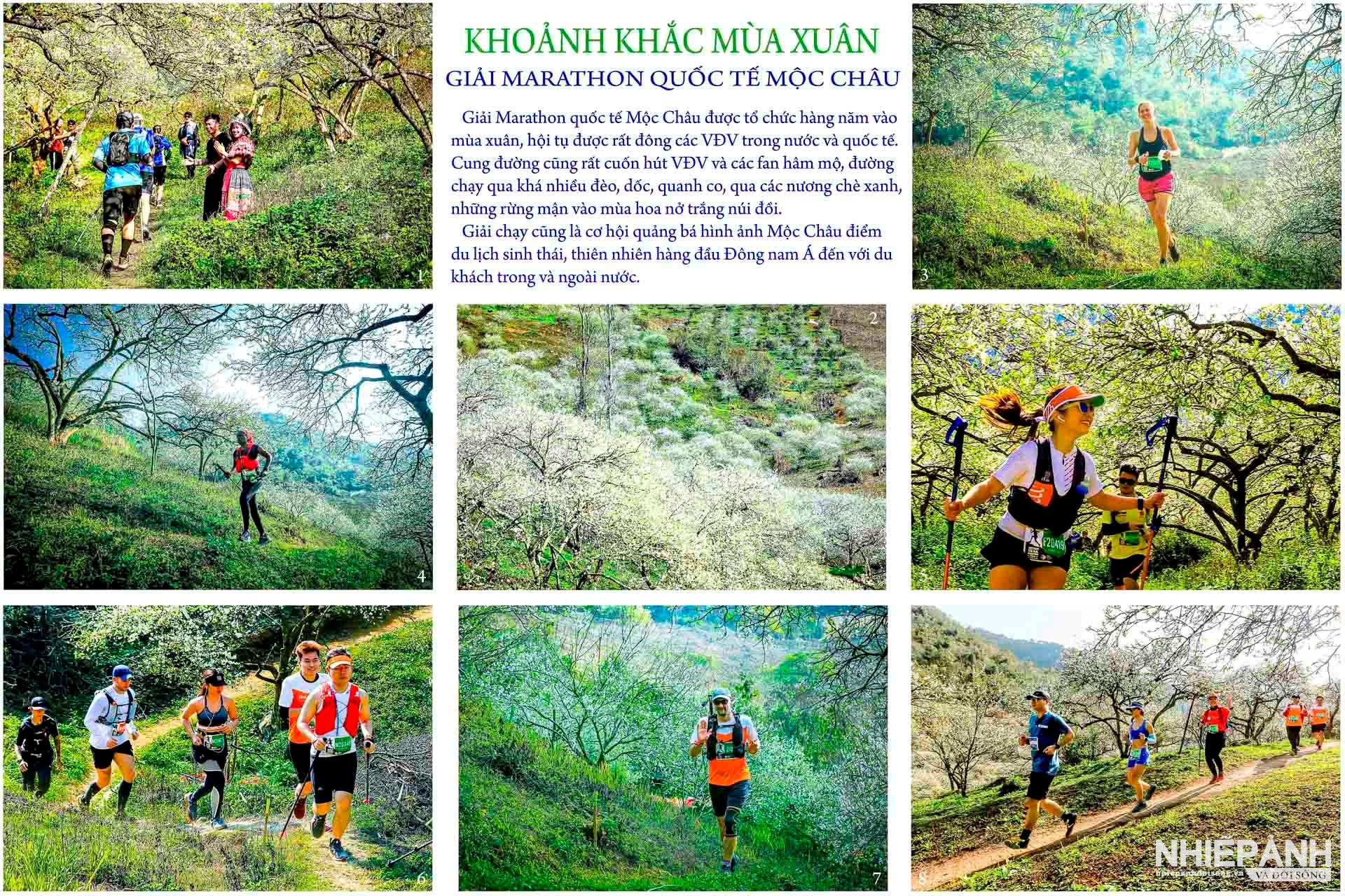 W_129-tbtl-trinh-viet-hung-thai-nguyen-khoanh-khac-mua-xuan-giai-marathon-quoc-te-moc-chau.jpg