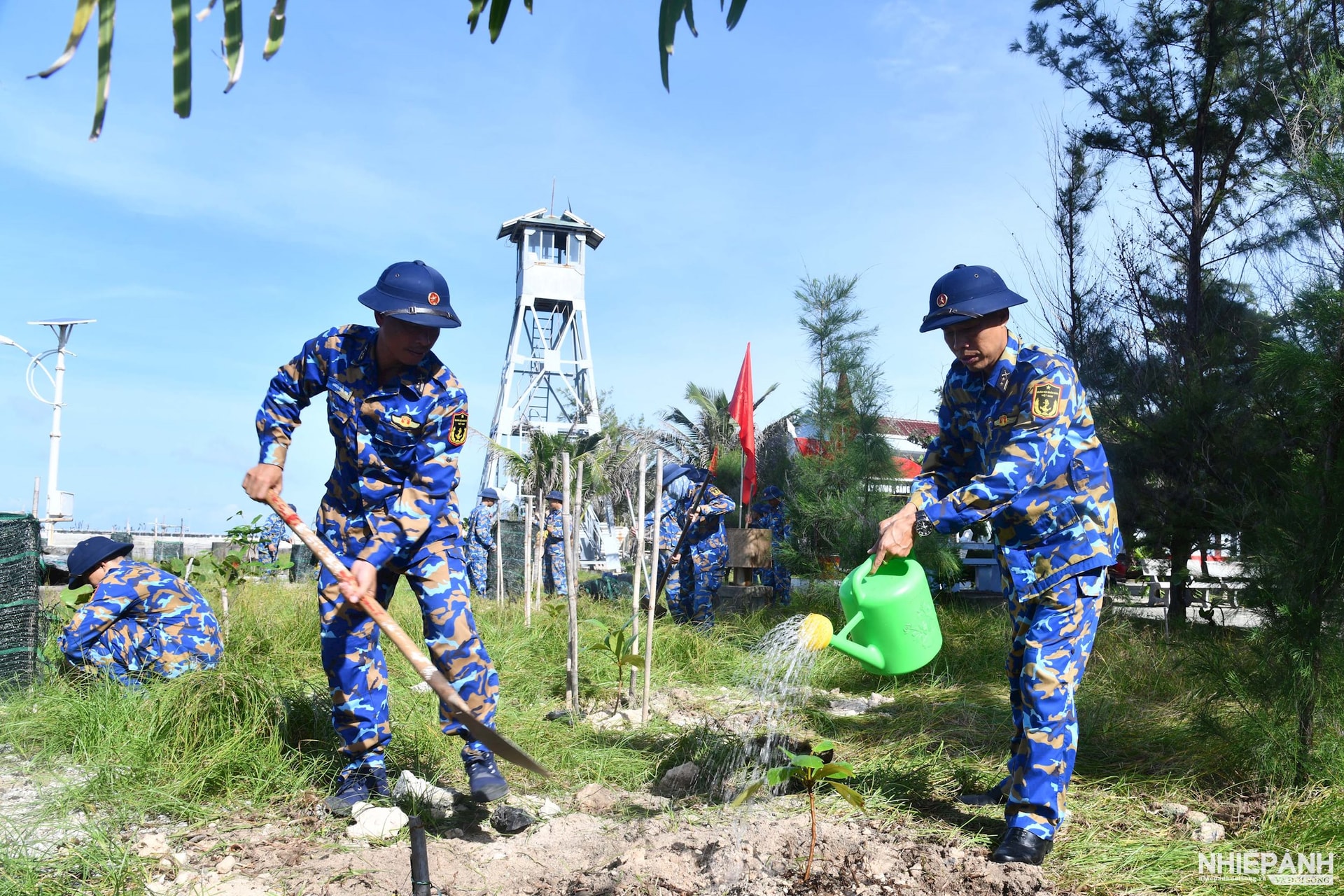 W_dao-son-ca-3-(1).jpg