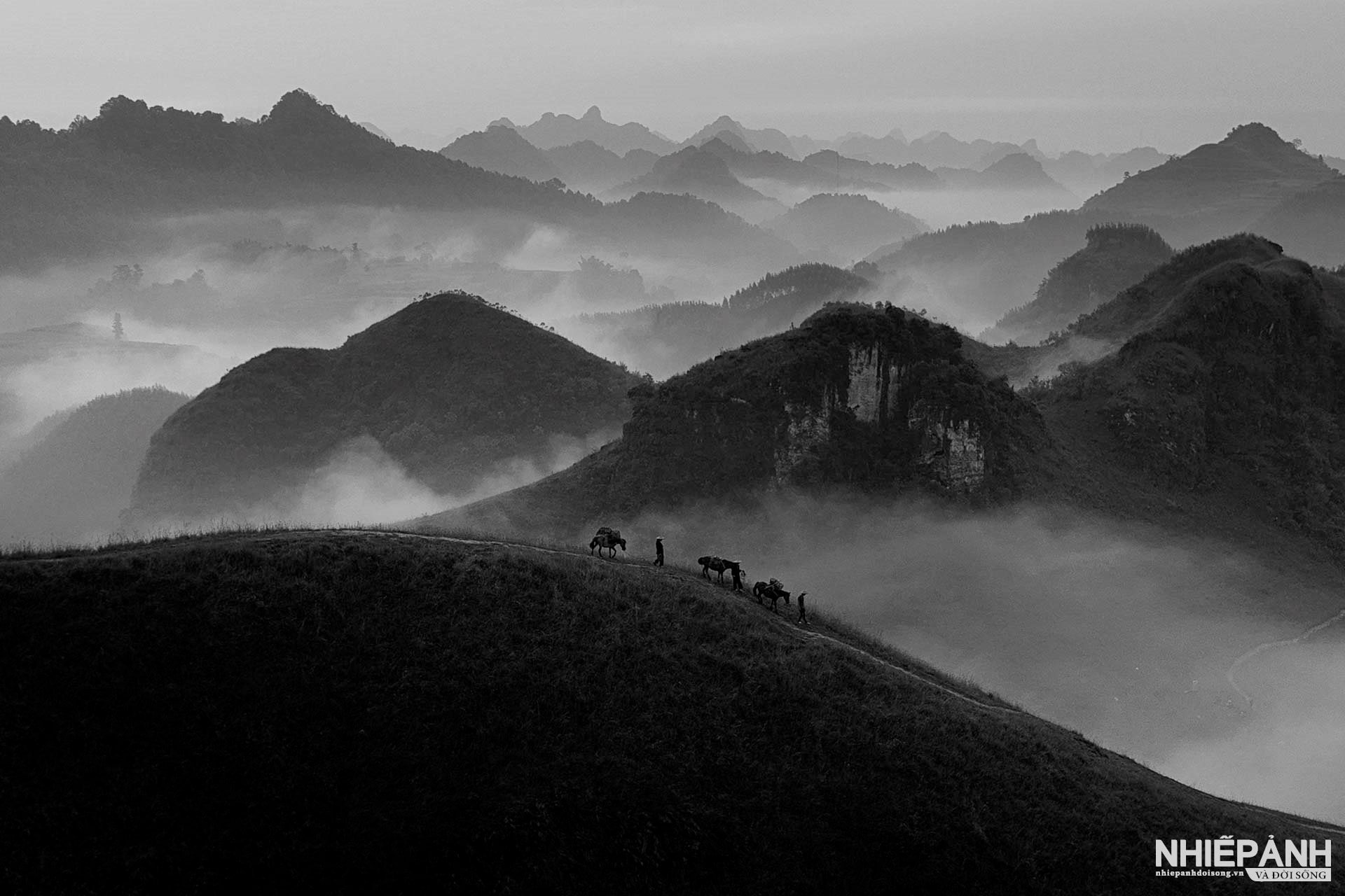 W_101-vn25-mono-acc-binh-minh-noi-reo-cao-dinh-hai-ngoc-vietnam.jpg