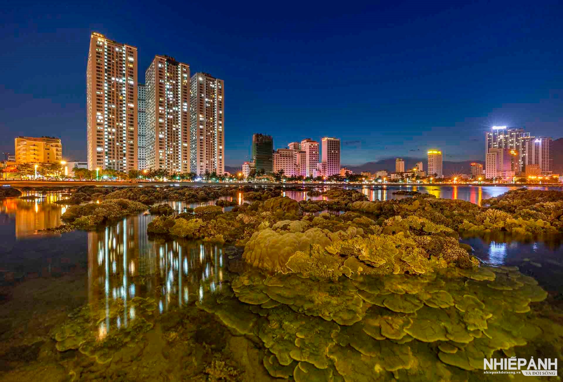 W_117-vn25-worldinfocus-acc-natural-vitality-in-the-heart-of-the-coastal-city-ho-trung-lam-vietnam.jpg