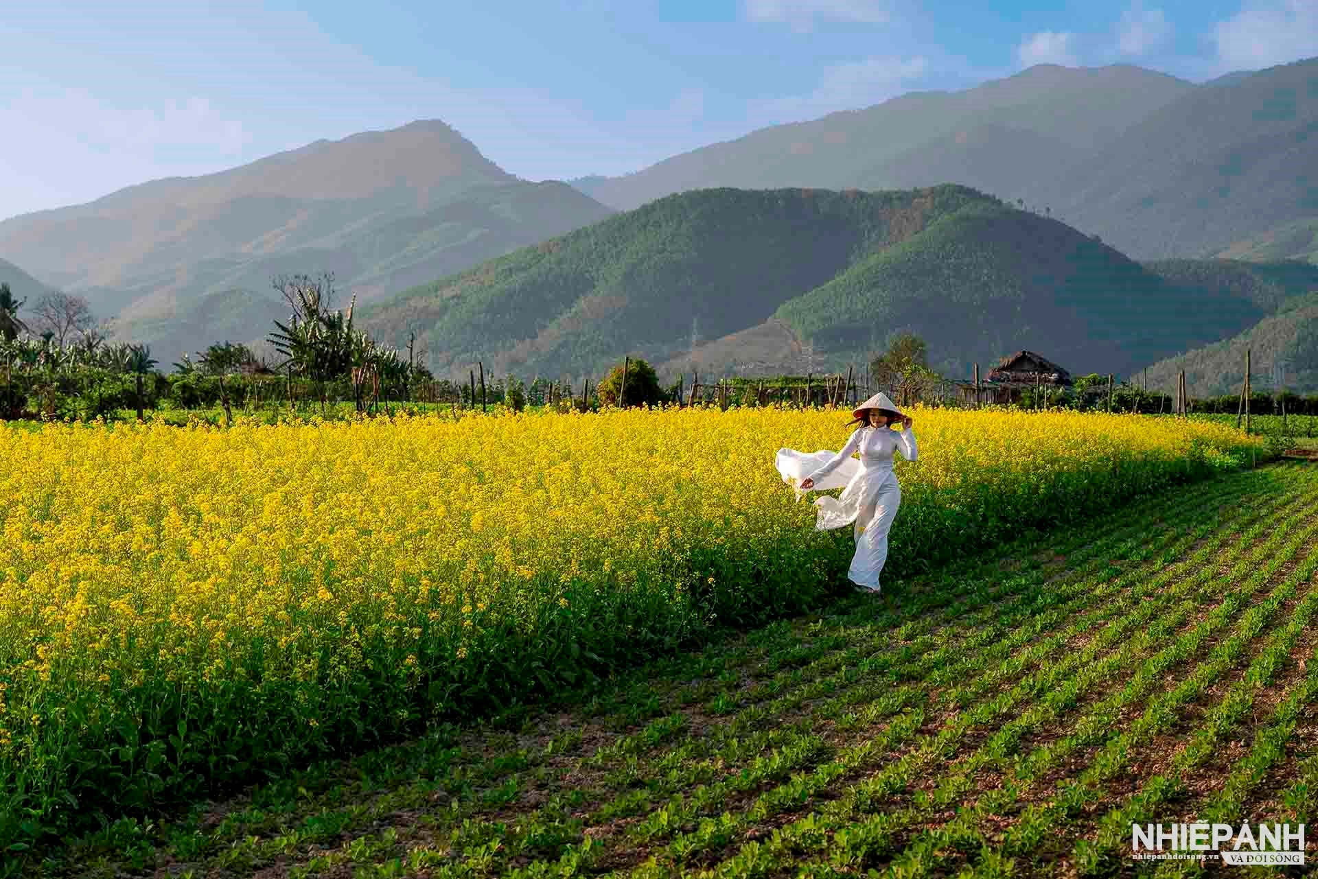 W_132-vn25-worldinfocus-acc-hoa-cai-mua-xuan-dang-ke-duc-vietnam.jpg