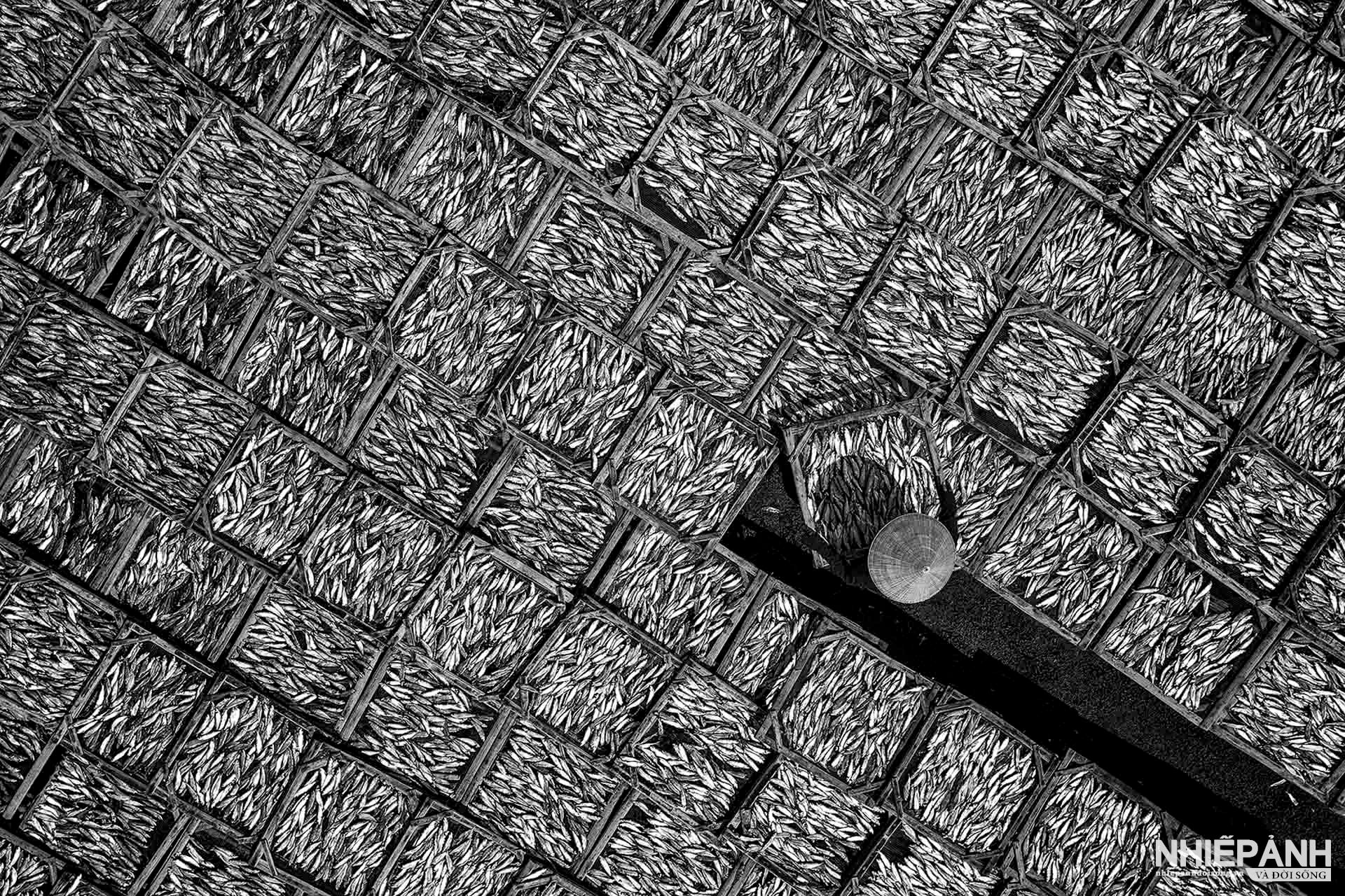 W_136-vn25-mono-acc-countryside-no-5-phan-minh-minh-tam-vietnam.jpg