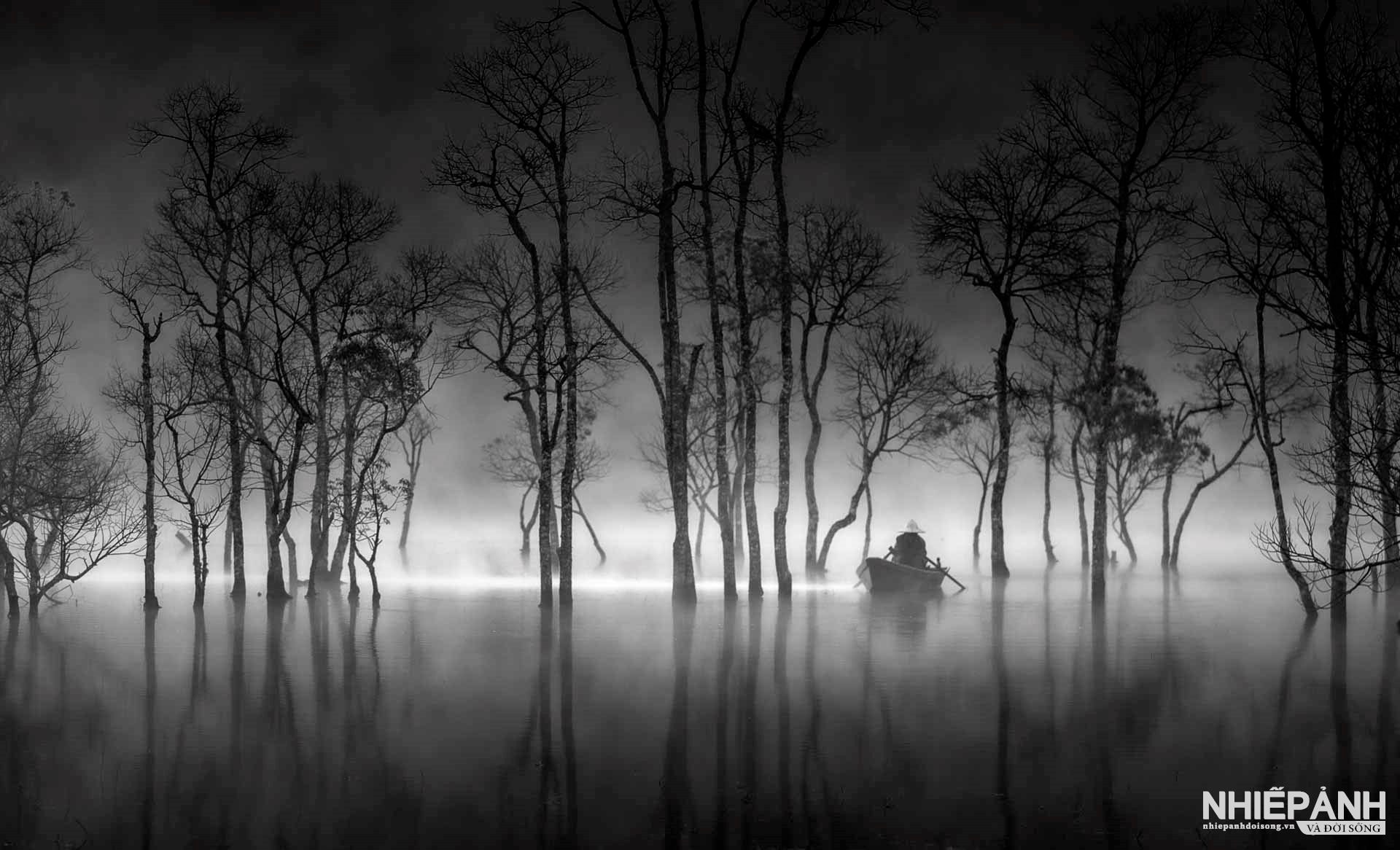 W_140-vn25-mono-acc-mua-cay-thay-la-o-ho-tuyen-lam-nguyen-tan-tuan-vietnam.jpg