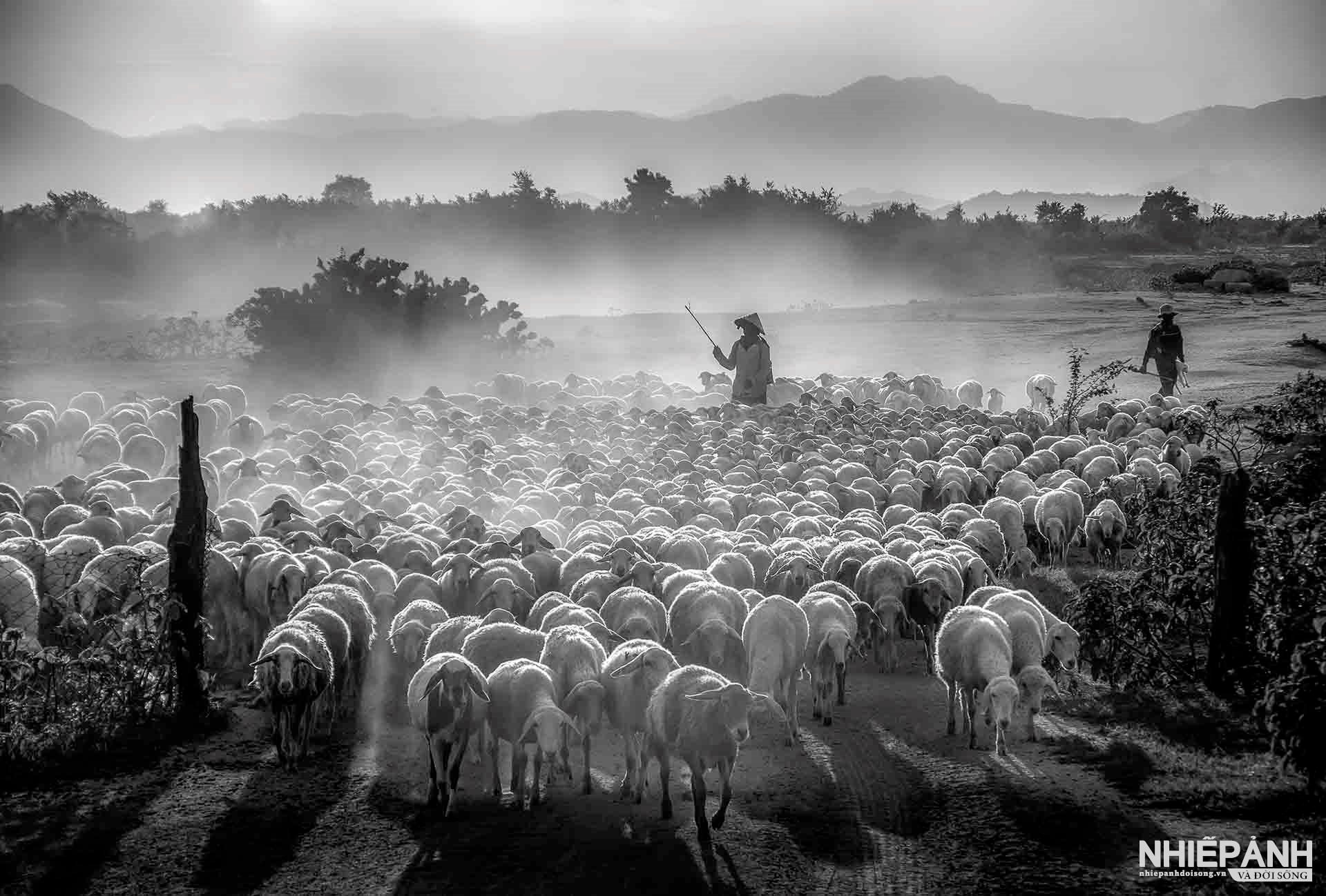 W_146-vn25-mono-acc-chieu-ve-ngo-quang-phuc-vietnam.jpg