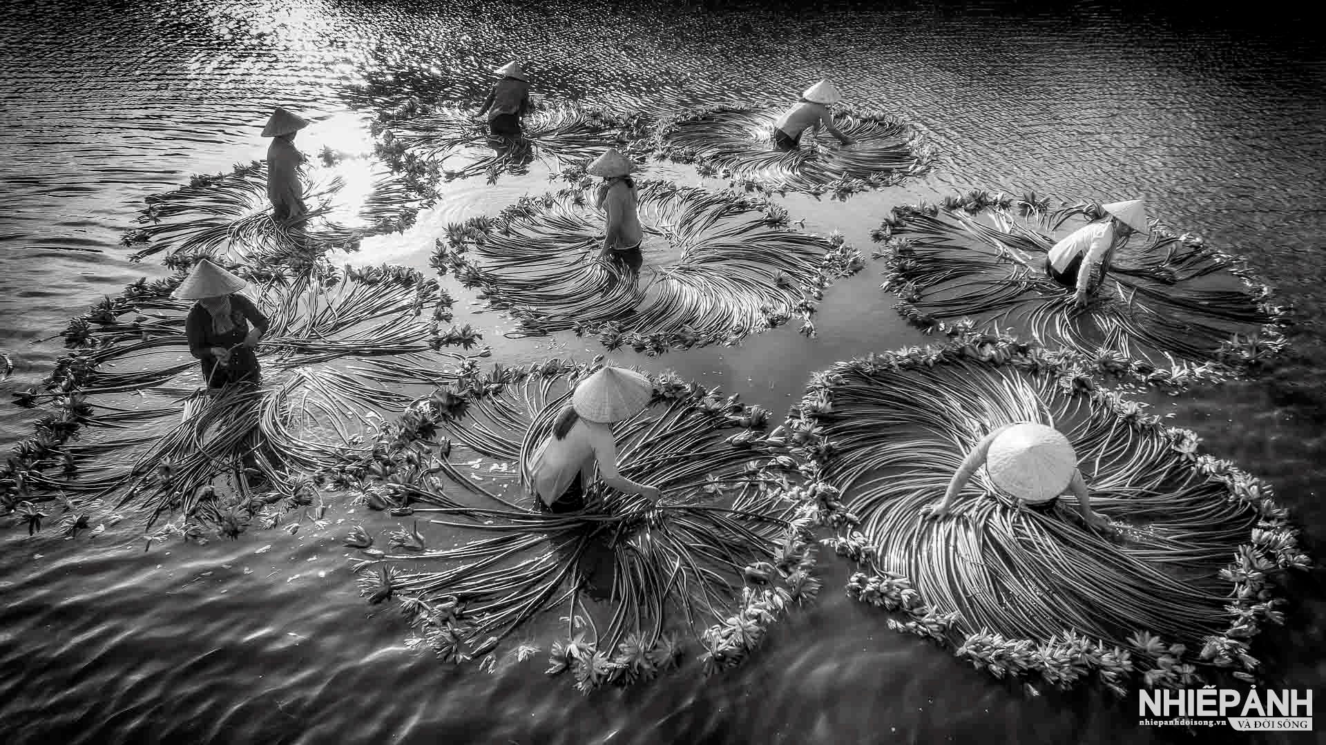 W_152-vn25-mono-acc-hang-say-mua-nuoc-noi-nguyen-van-gioi-vietnam.jpg
