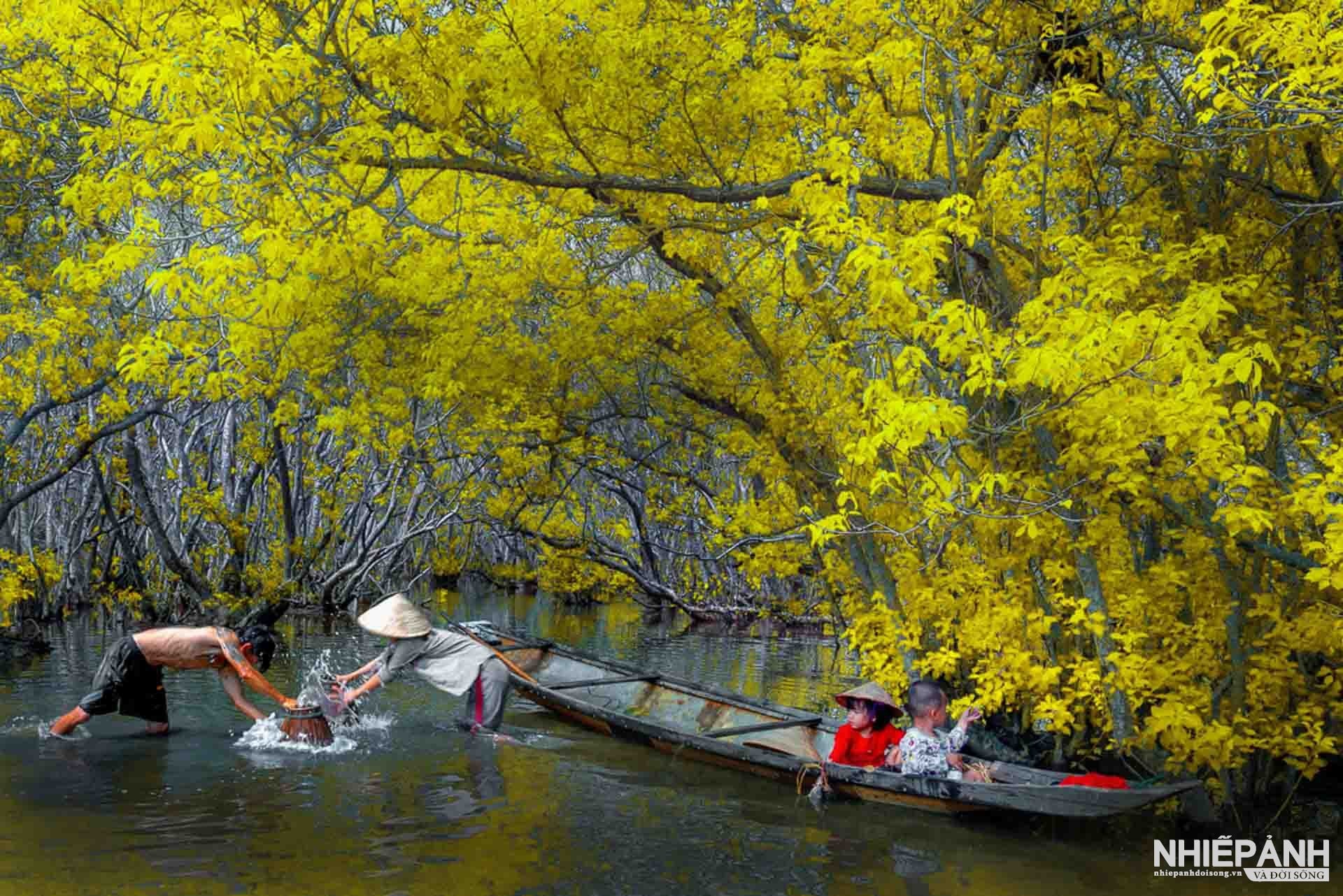 W_156-vn25-color-acceptance-ban-hoa-tau-dong-song-dinh-tat-canh-vietnam(1).jpg