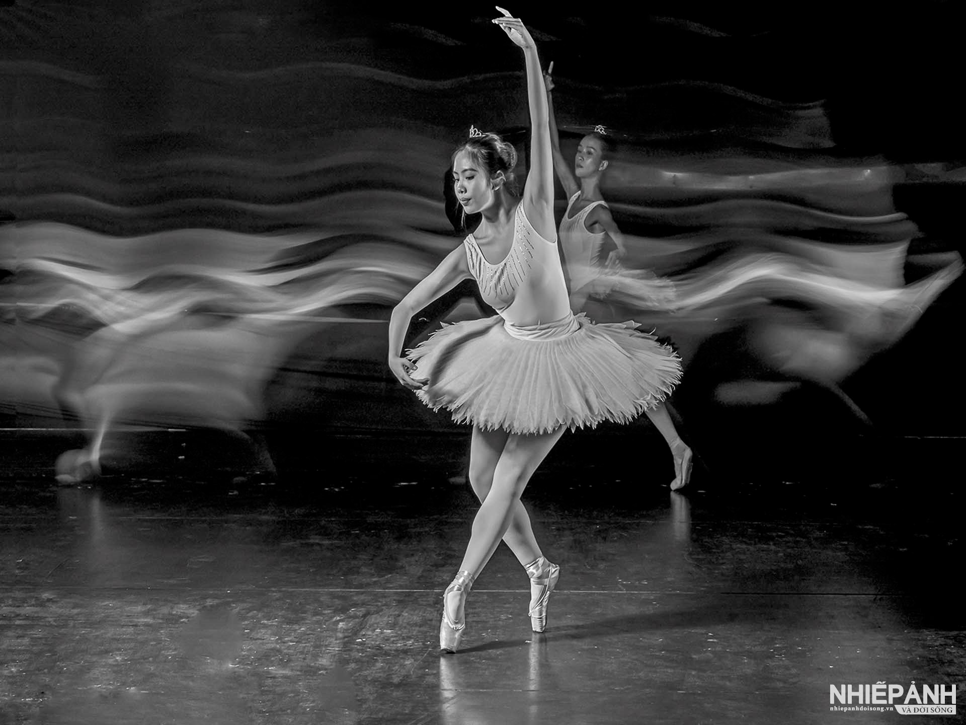 W_168-vn25-mono-acc-hinh-voi-bong-nguyen-thi-hong-lan-vietnam.jpg