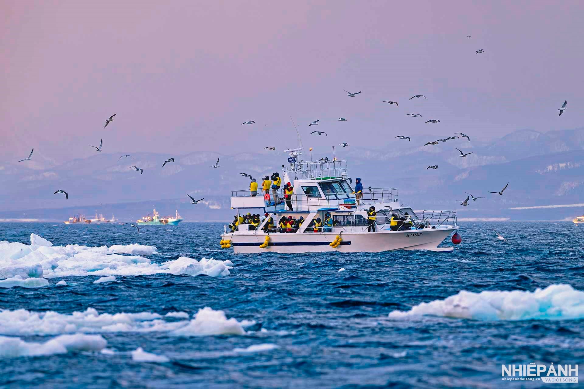 W_203-vn25-worldinfocus-acc-sea-eagles-watching-bach-thi-to-anh-vietnam.jpg