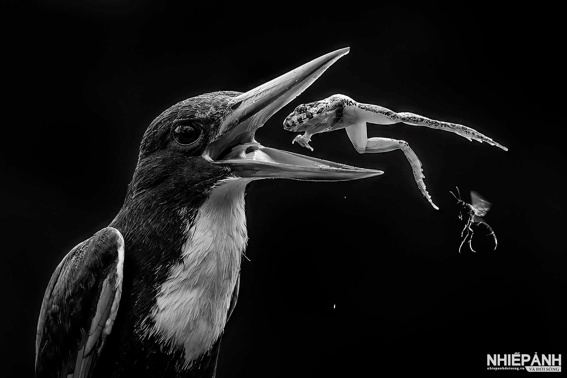 W_27-vn25-mono-acc-diem-den-huynh-van-hung-vietnam.jpg