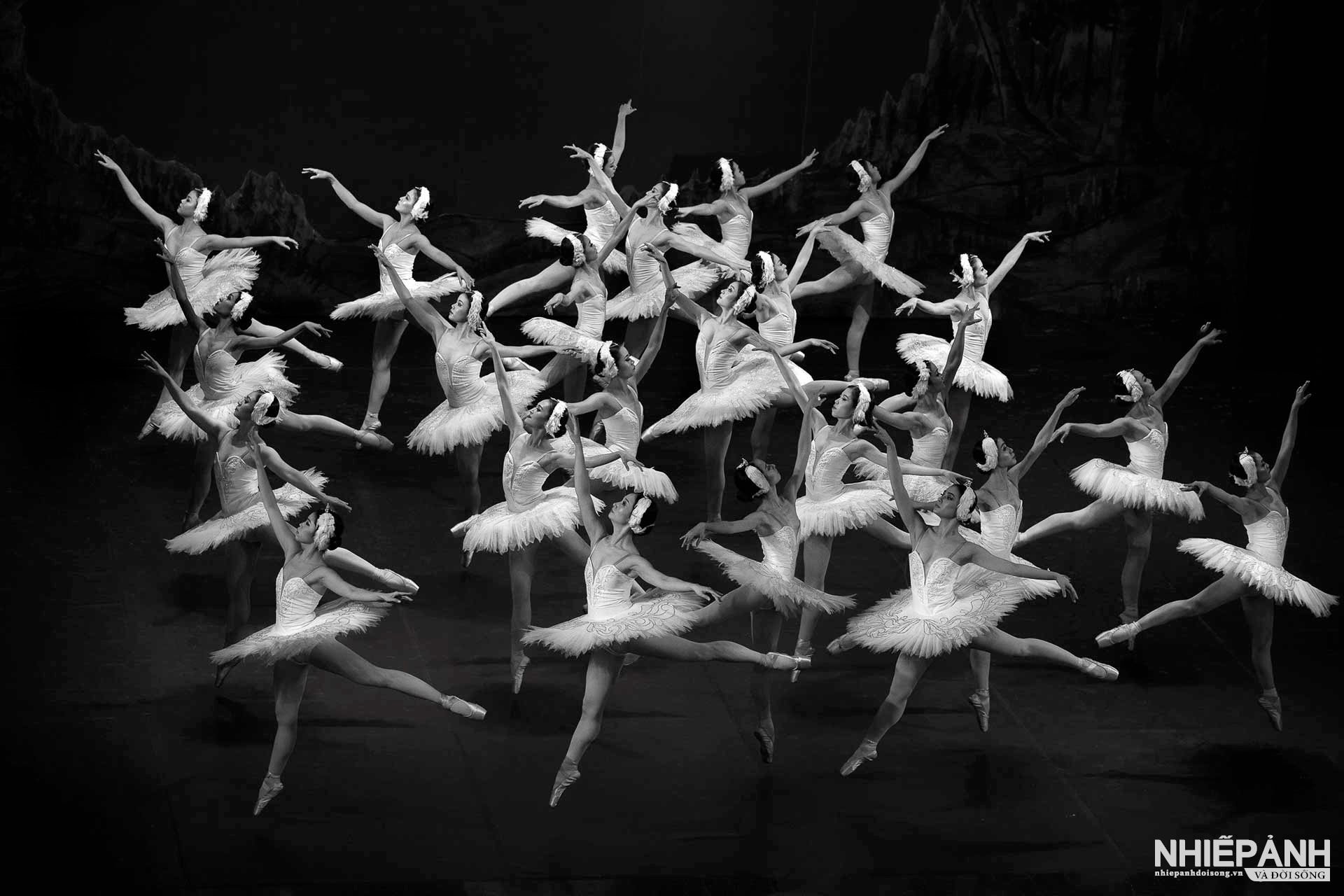 W_31-vn25-mono-acc-ba-le-ho-thien-nga-nguyen-thuy-nga-vietnam.jpg
